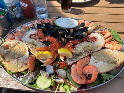 The Best Dressed Crab