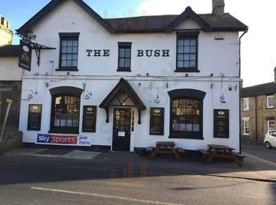 The Bush