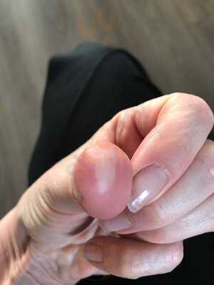 Waresley Park Garden Centre