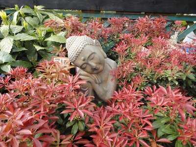 Waresley Park Garden Centre