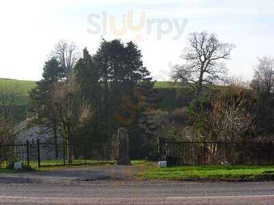 The Olive Tree Eatery