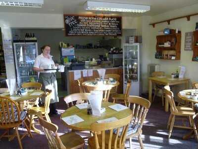 The Olive Tree Eatery