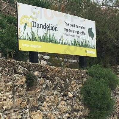 Dandelion Cafe