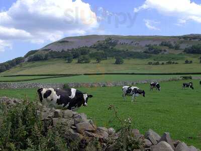 Farletonview Tearoom