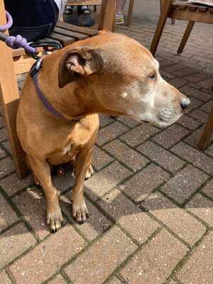 The Crown Pub And Restaurant