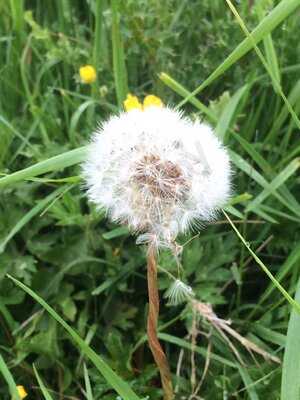 Tablehurst Farm Shop And Cafe