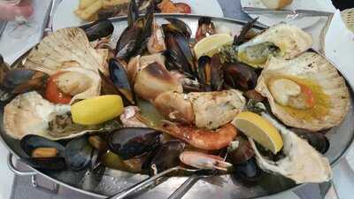 The Dolphin Grill & Bar