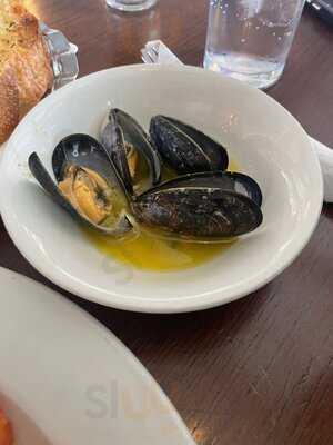 The Dolphin Grill & Bar