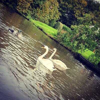 Georgie's Canal Cruises