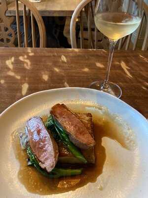 The Rose And Olive Branch