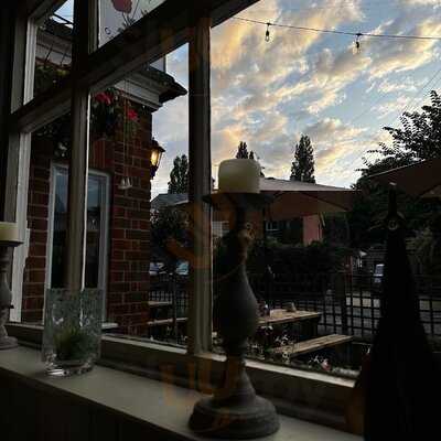 The Rose And Olive Branch