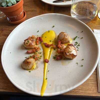 The Rose And Olive Branch