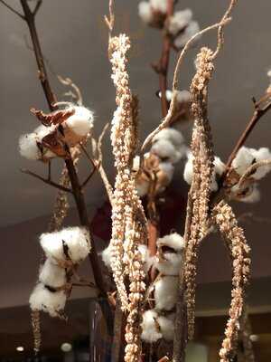 La Cantina Del Vino - Farnham Common