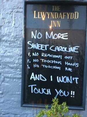 The Llwyndafydd Inn & Monroe's