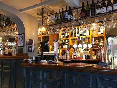 The Surrey Cricketers