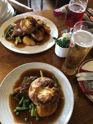 The Surrey Cricketers