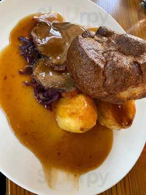 The Surrey Cricketers