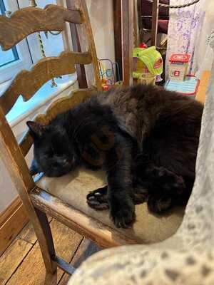 The Fairydust Emporium Cafe