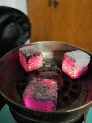 Yew Tree The Indian Courtyard