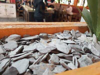 Explorers Pizza And Pasta Buffet