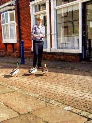 Duck Lane Cafe & Gift Shop