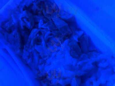 South Cerney Fish And Chips