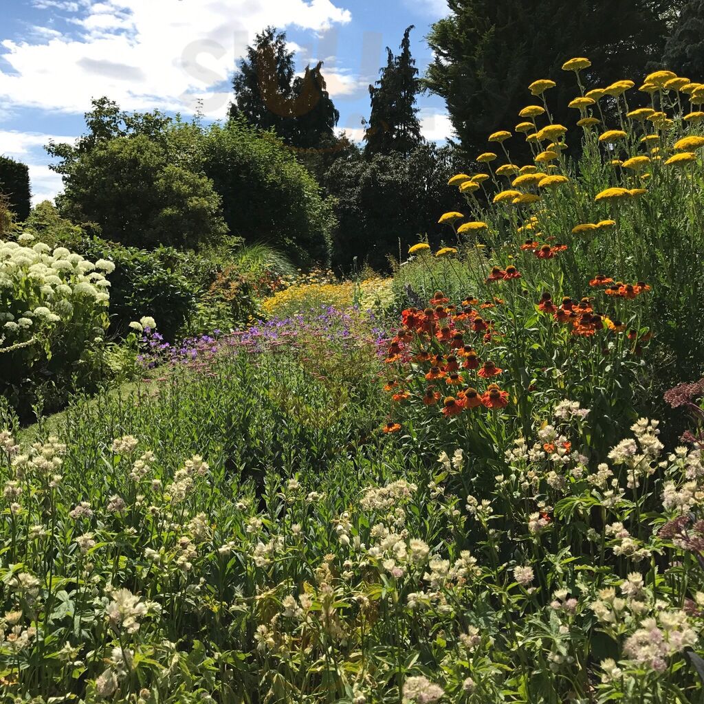 Waterperry Gardens