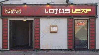 Lotus Leaf