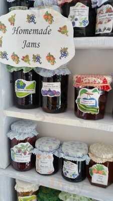 Vintage Home And Fashion With Olde Penny's Tea Room