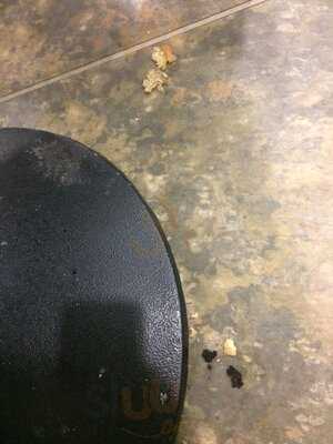 Dobbies Garden Centre Harlestone Heath