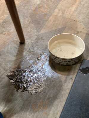 Dobbies Garden Centre Harlestone Heath