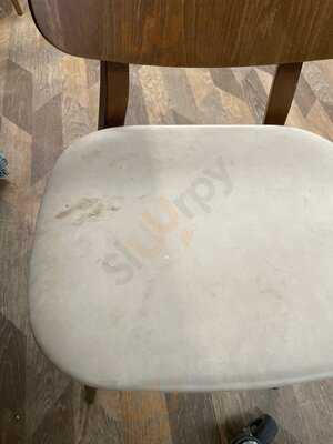 Dobbies Garden Centre Harlestone Heath