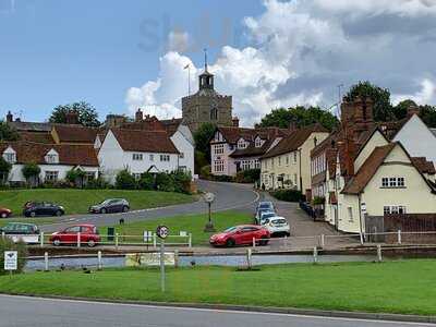 The Fox On The Green