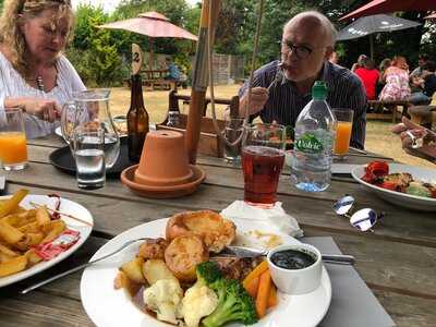 The Finchingfield Lion