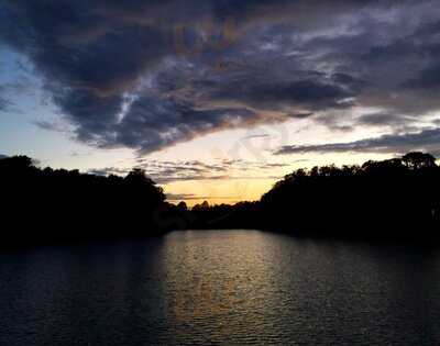 Nemo's Bar And Restaurant