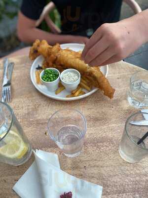 The Unicorn On The Beach