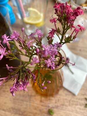 The Unicorn On The Beach