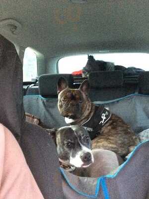 Whistler's Fine Fish & Chips