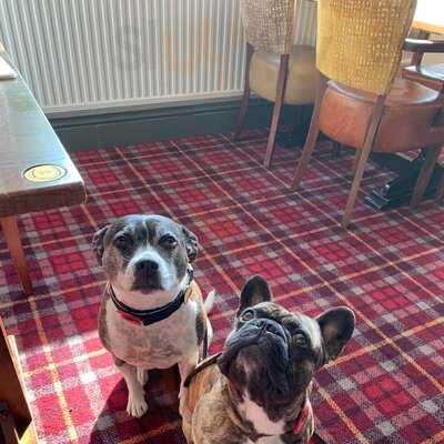 Whistler's Fine Fish & Chips