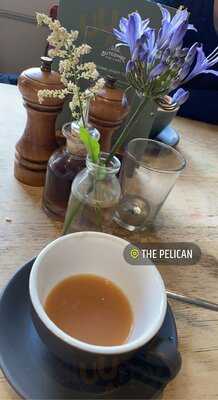 The Pelican