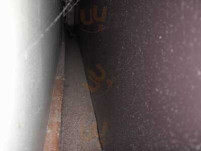 The Bull On The Green