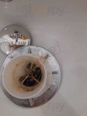 The Bull On The Green