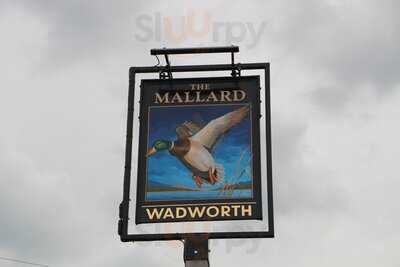 The Mallard