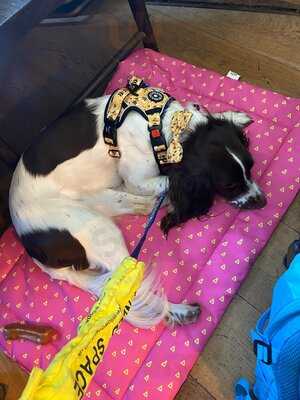 The Ship At Freckleton