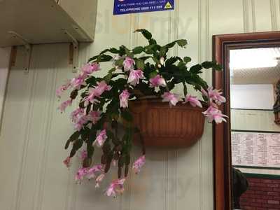 The Marvel - Photo 7