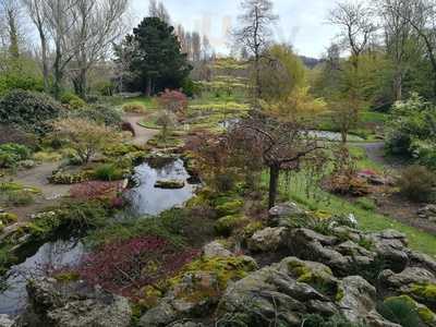 The Herb Garden Cafe