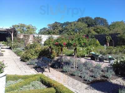 The Herb Garden Cafe