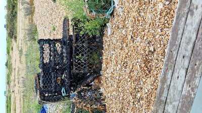 The Snack Shack At Dungeness Fish Hut