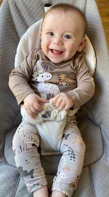 The Swan At Martin Hussingtree