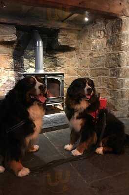 The Hollybush Inn & B&b